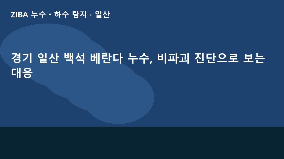 경기 일산 백석 베란다 누수, 비파괴 진단으로 보는 대응