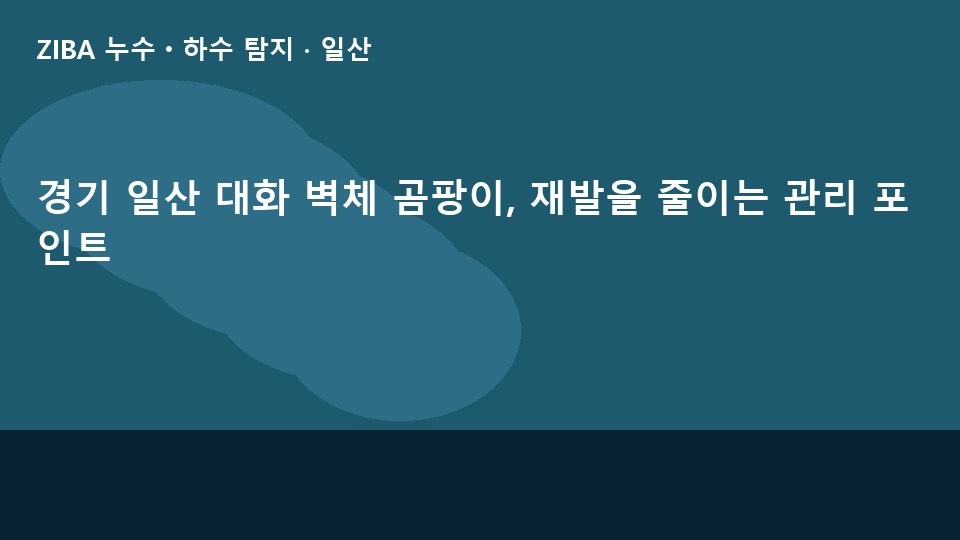 경기 일산 대화 벽체 곰팡이, 재발을 줄이는 관리 포인트
