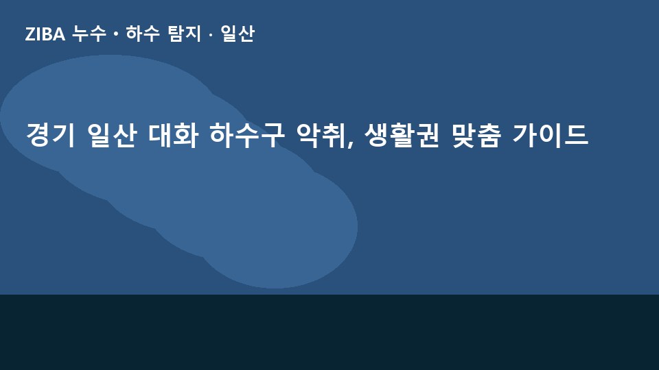경기 일산 대화 하수구 악취, 생활권 맞춤 가이드