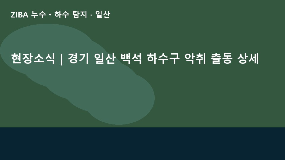 현장소식 | 경기 일산 백석 하수구 악취 출동 상세
