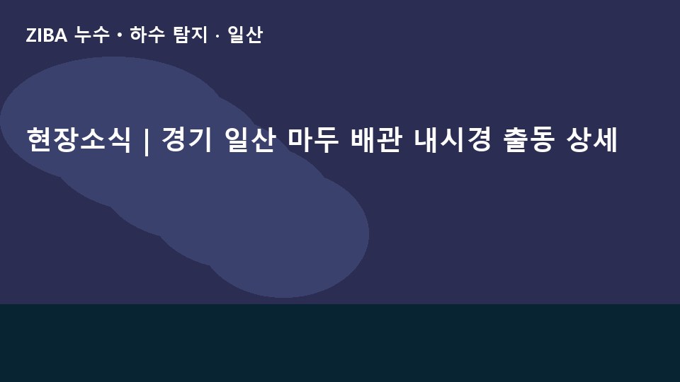 현장소식 | 경기 일산 마두 배관 내시경 출동 상세