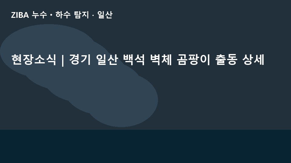 현장소식 | 경기 일산 백석 벽체 곰팡이 출동 상세
